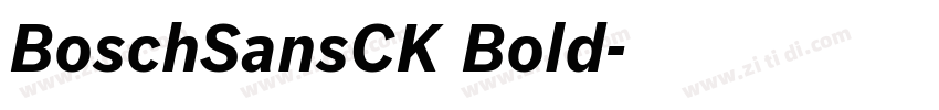 BoschSansCK Bold字体转换